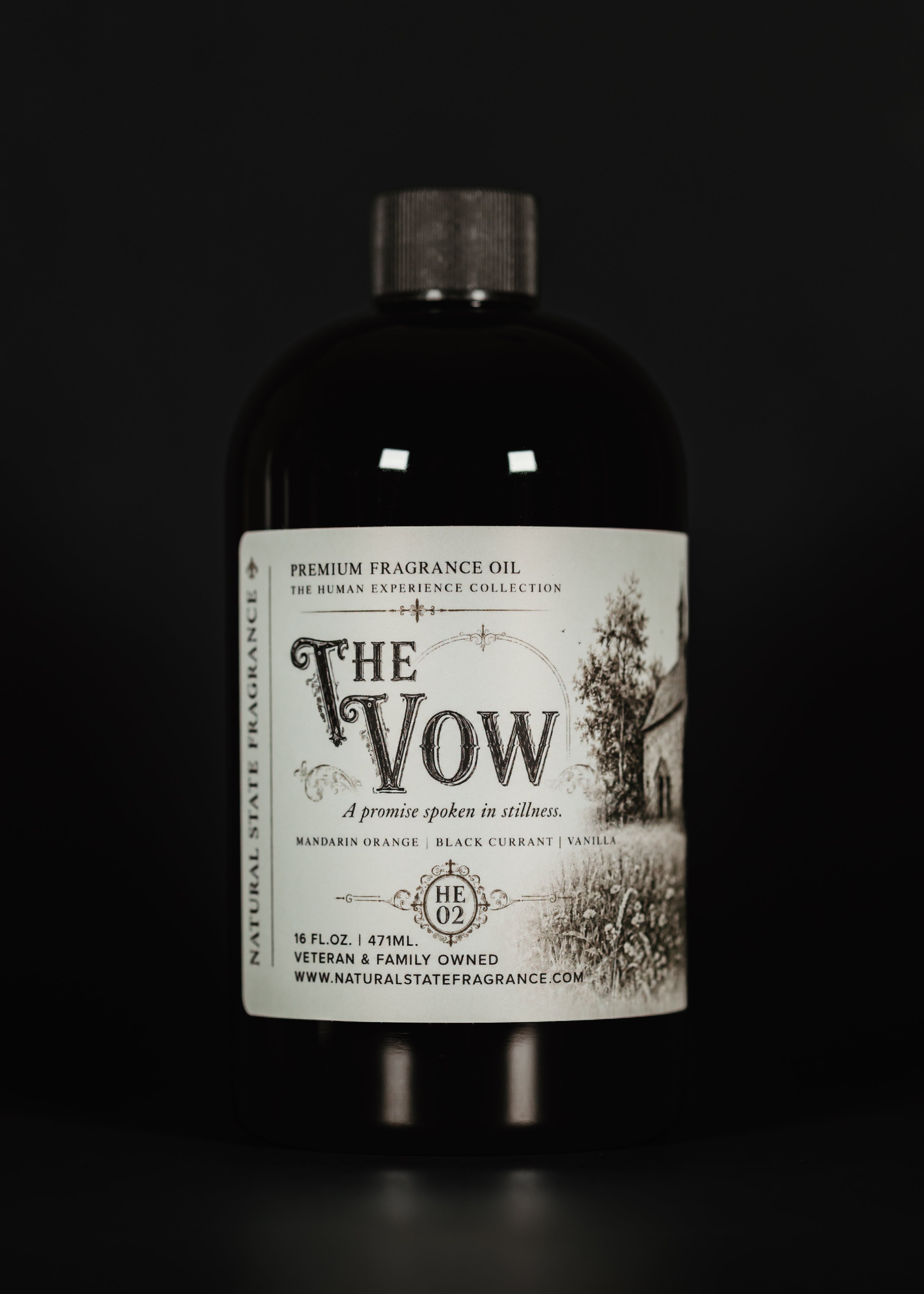 The Vow (Coming in August 1st)